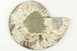 3.65" Cut & Polished Ammonite Fossil (Half) - Madagascar - #200069-1